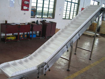 Waved edge belt conveyor