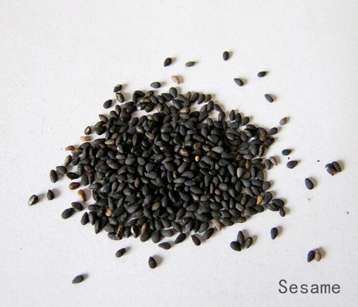 Advantages of Sifter Machine for Sesame