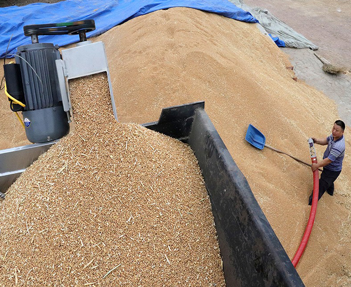 Wheat Grain Duction Mmachine