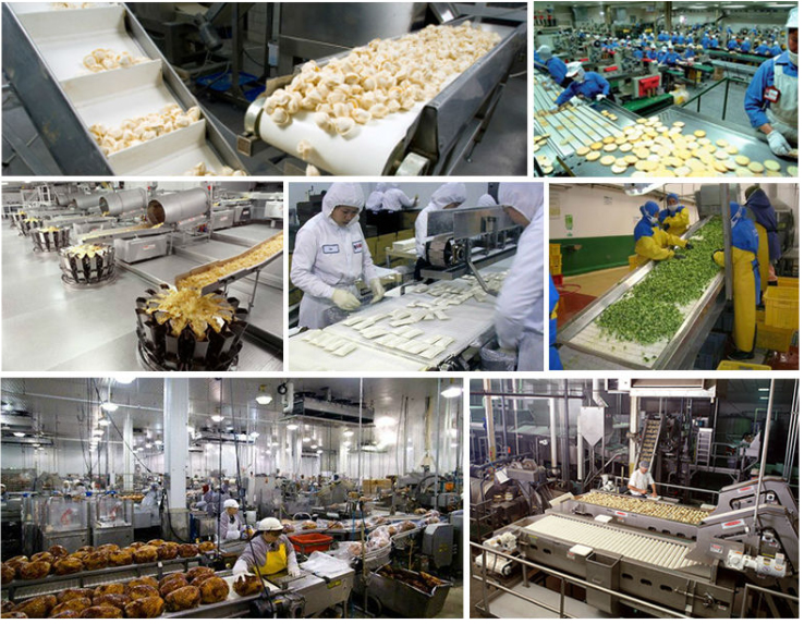 Food Grade Belt Conveyor for Conveying Potato Chips