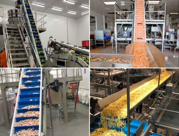 Industrial Food Grade Belt Conveyor 